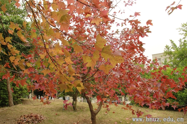 摄影:李海珊,黄幼帆何泽辉,马淇骞公共关系协会 杨馥泽